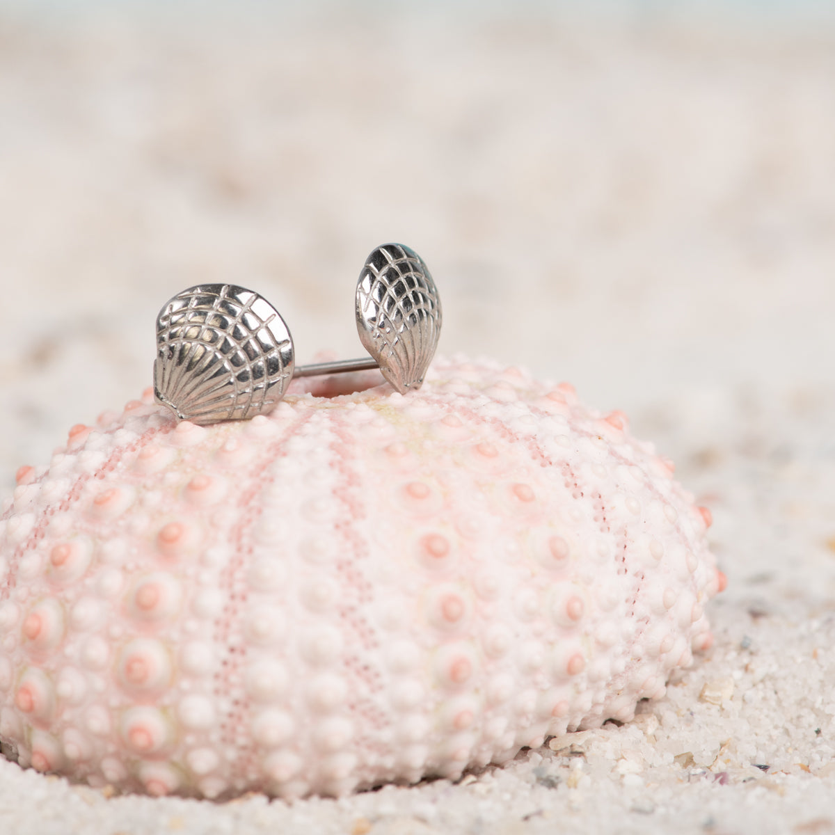 Pendientes iXXXi Concha