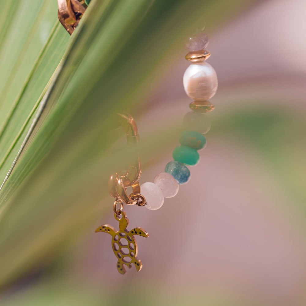 iXXXi Connect Charm Turtle