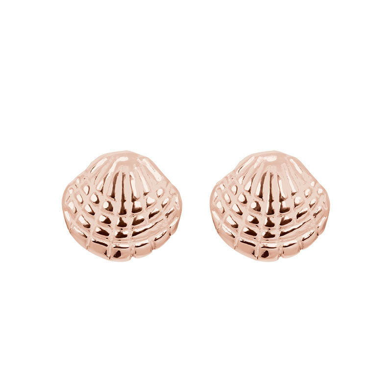 Ear studs Shell